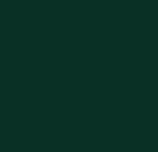 4174 Conifer Linoleum bordplate på mål